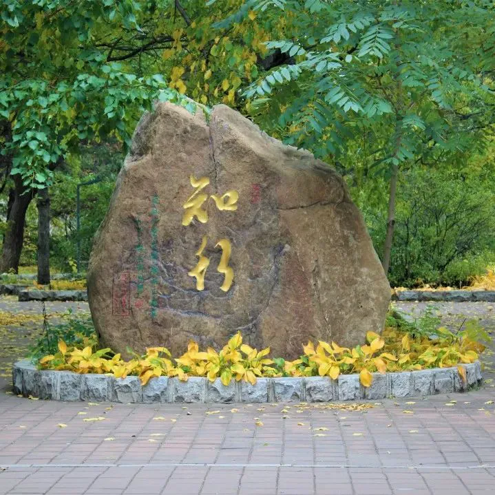 刻苦训练篮球时如何避免受伤的建议_2
